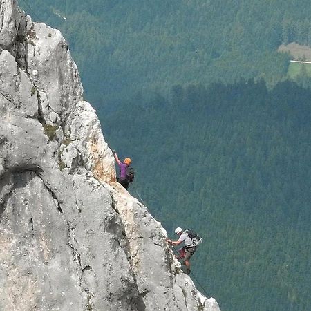 Das Grasberghaus Exterior photo